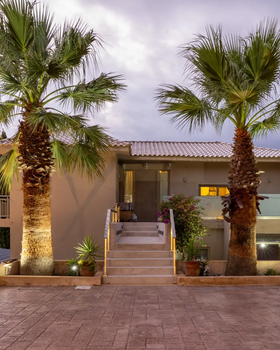 Two palms above the entrance at dusk